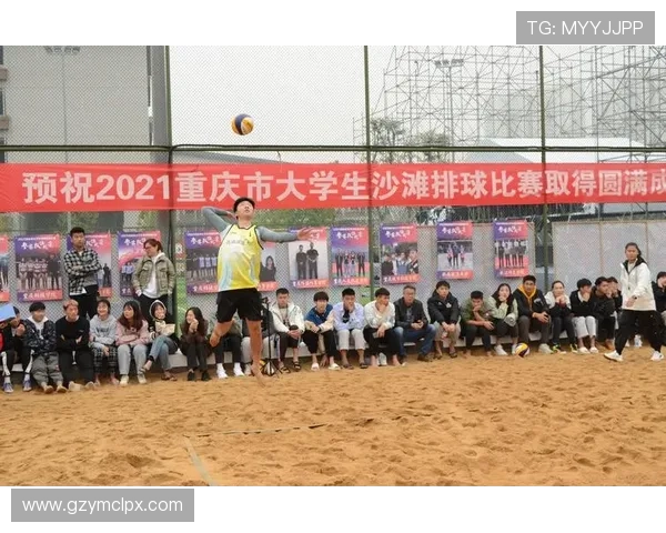 杭州排球队与深圳排球队对决后的深度分析与战术总结